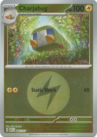 Charjabug (Energy Symbol Pattern) 65 - ME Ascended Heroes Reverse Holofoil、The Pokémon Company、kayou