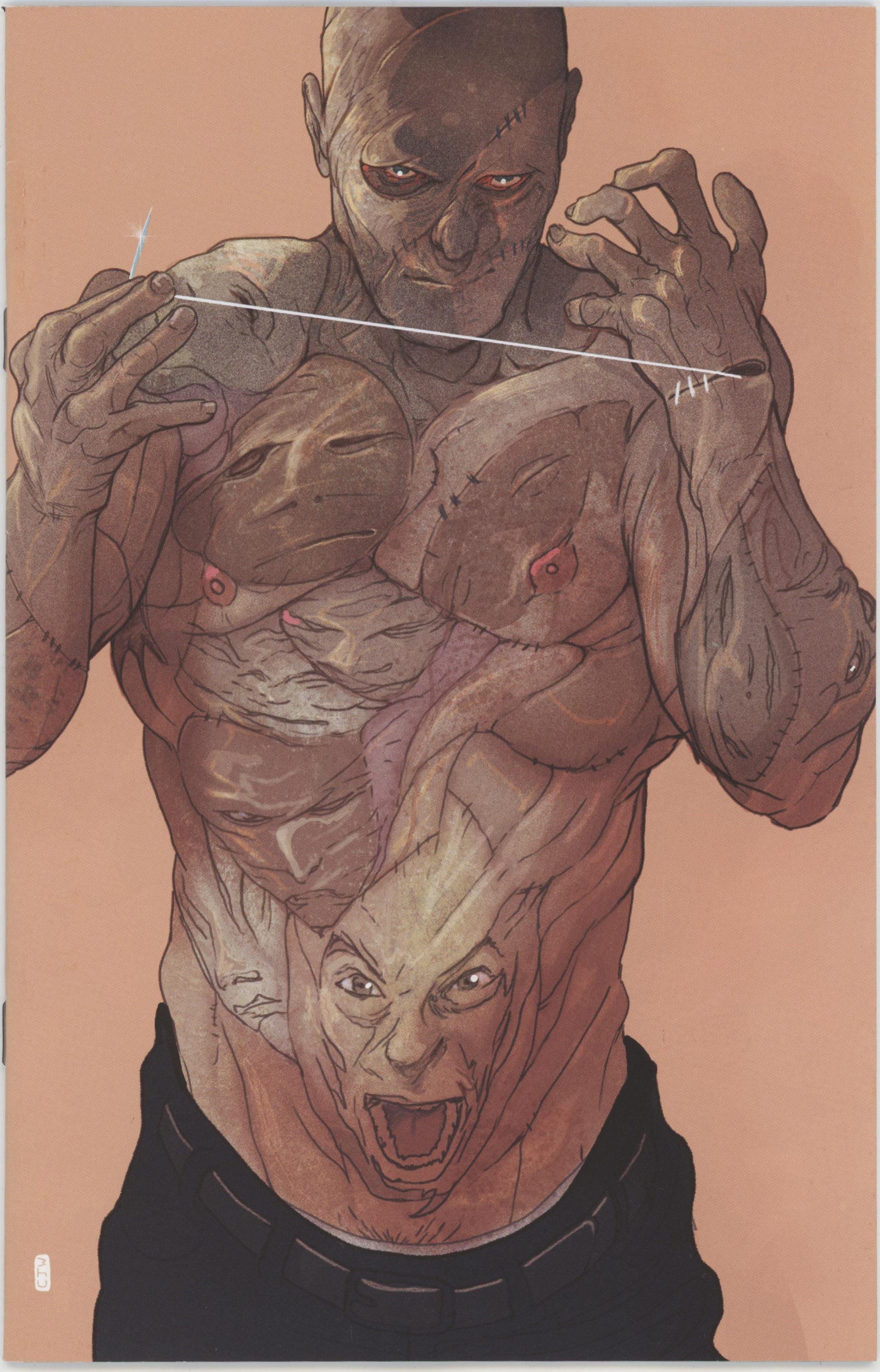 Exquisite Corpses #9 Cover E 1 in 25 Christian Ward Full Art Variant (Mature)、Image Comics、kayou