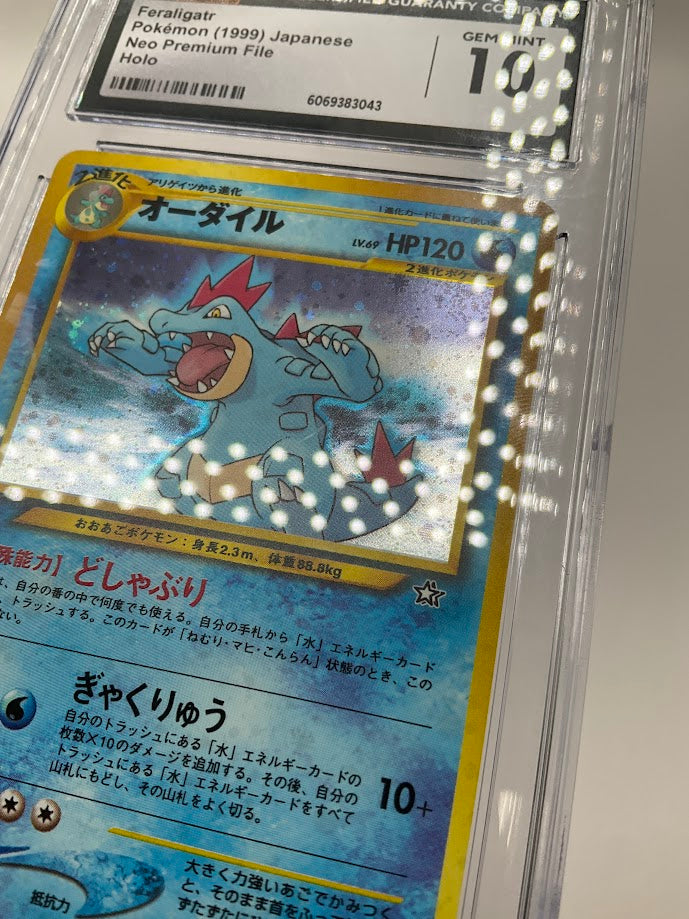 Feraligatr Pokemon Neo Premium File Holo Japanese #160 CGC 10、Collector Store LLC Gaming、kayou