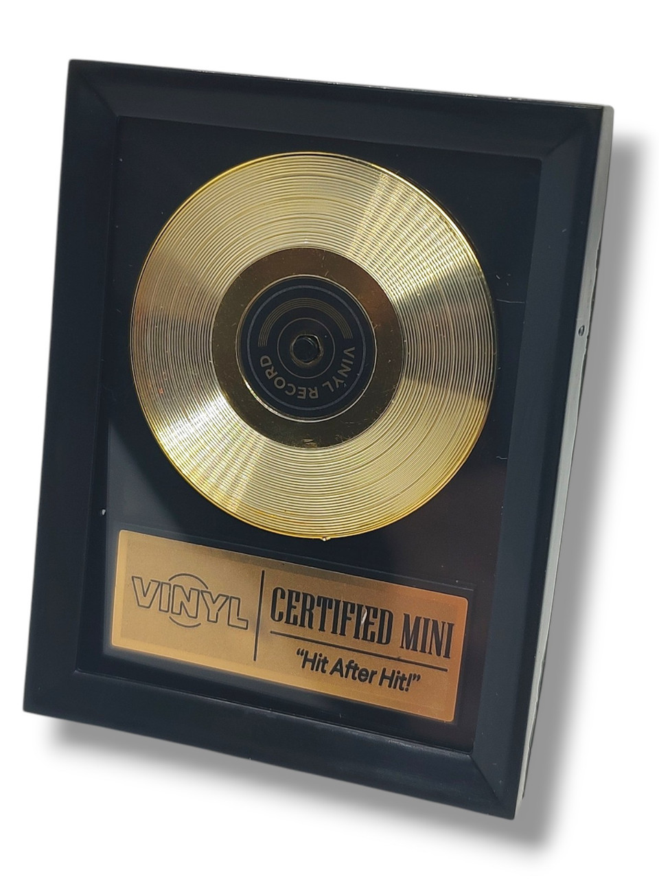 Mini Brands! Really Works Vinyl Golden Record Award Rare Accessory Loose、ToyWiz、kayou