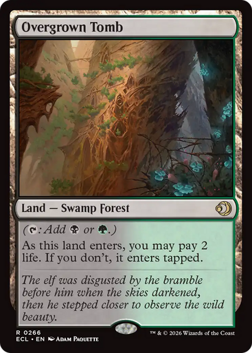 Overgrown Tomb (Foil) | Lorwyn Eclipsed、Magic: The Gathering、kayou