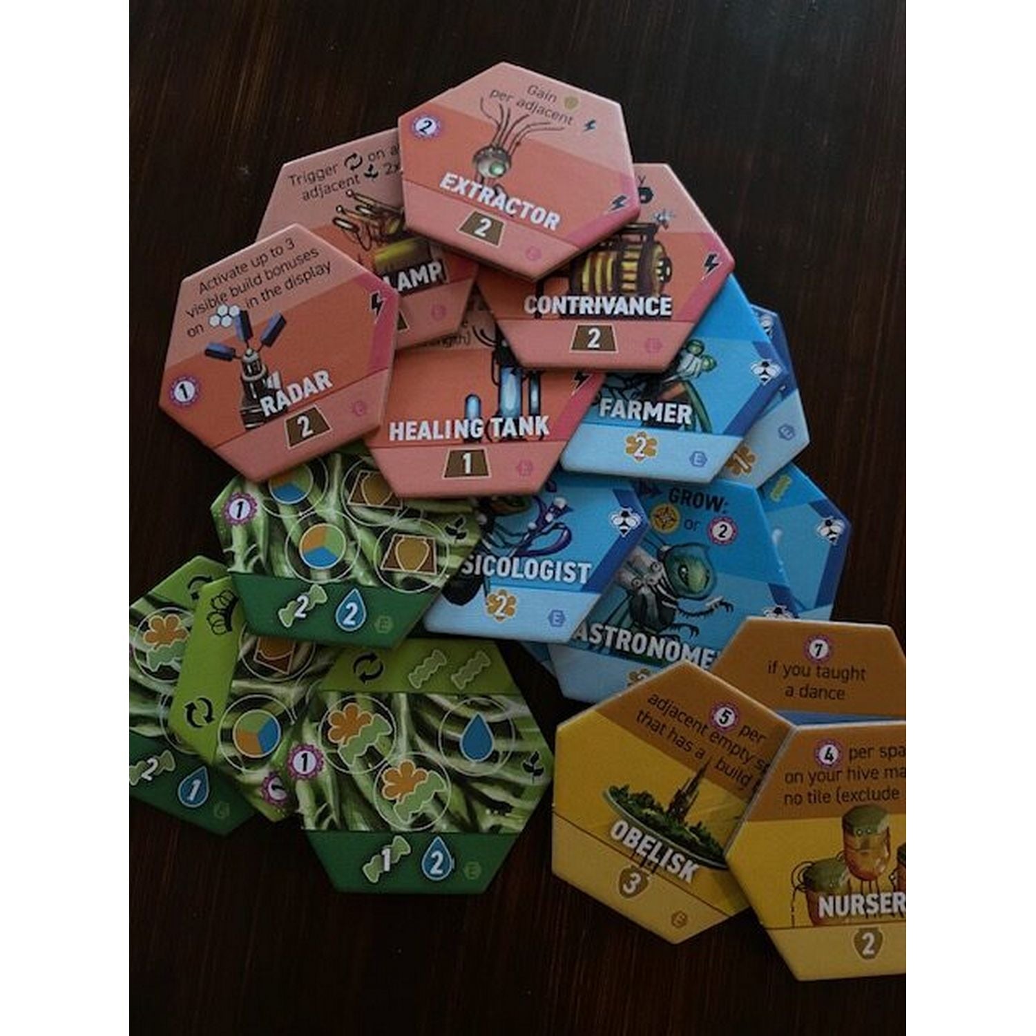 Apiary: Expanding the Hive、Stonemaier Games、kayou