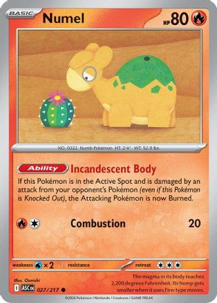 Numel - 027/217 27 - ME Ascended Heroes、The Pokémon Company、kayou