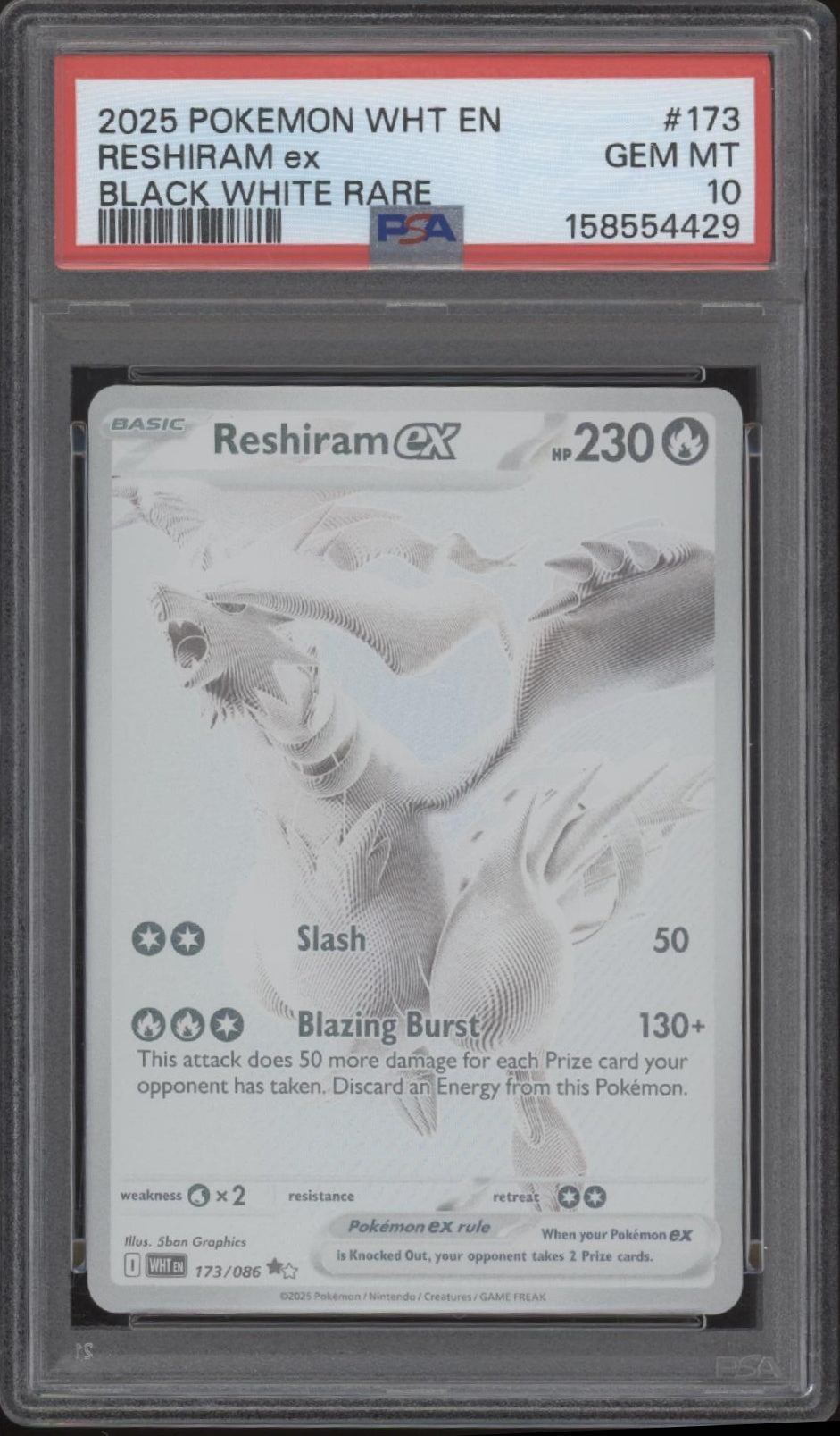 Reshiram ex Pokemon White Flare Black & White Rare #173 PSA 10、Collector Store LLC Gaming、kayou