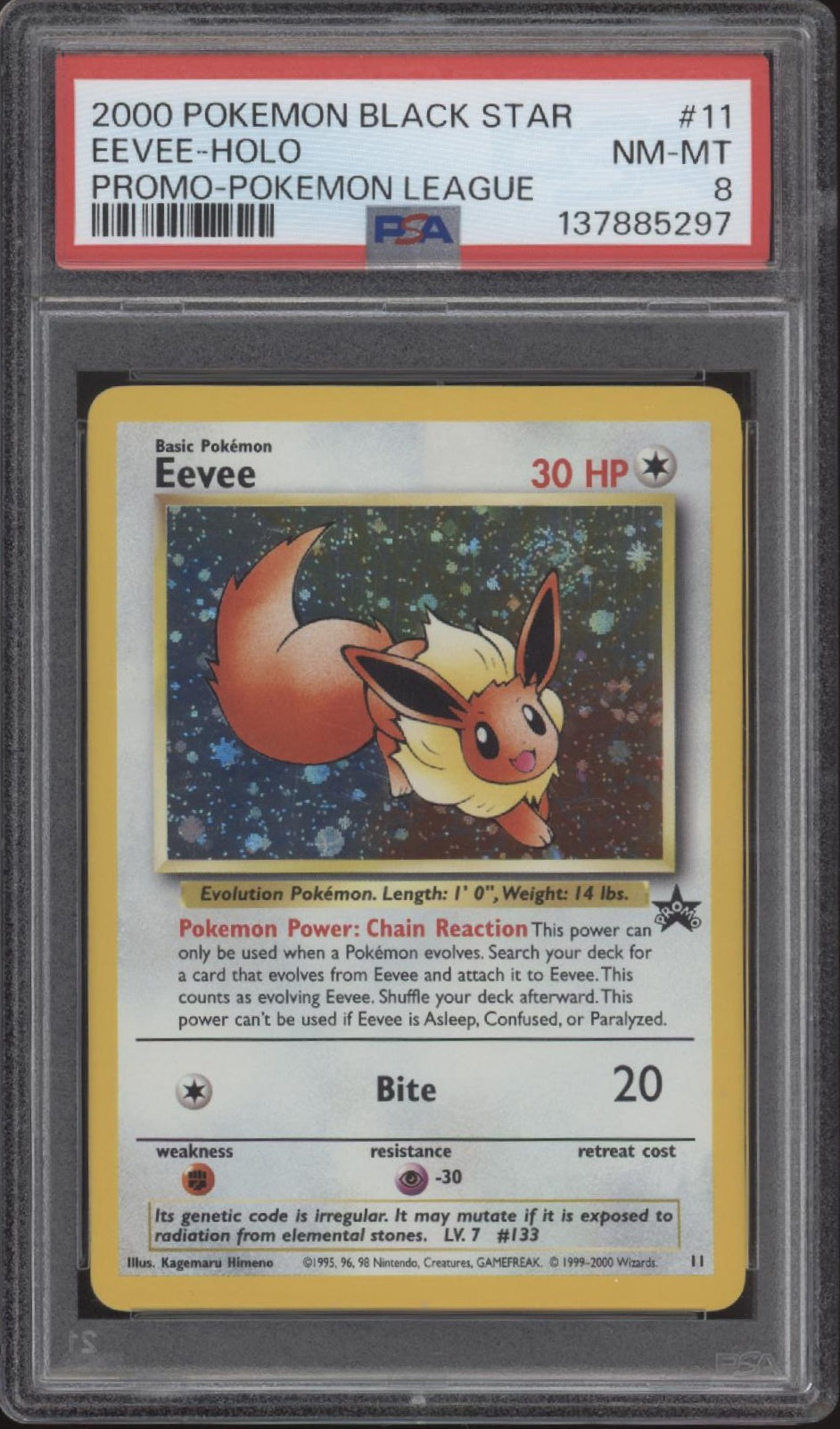 Eevee Pokemon League Black Star Promo Holo #11 PSA 8、Collector Store LLC Gaming、kayou