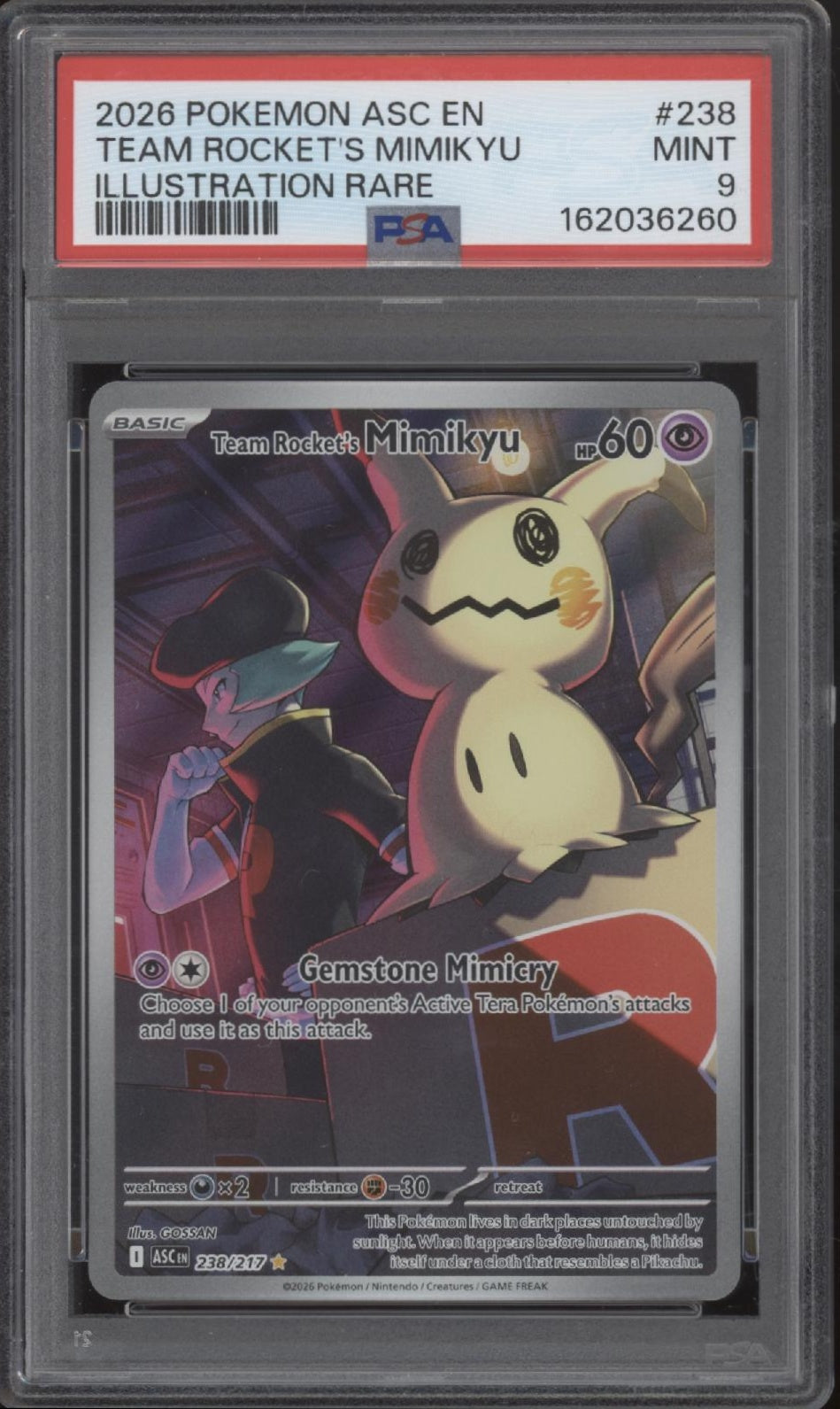 Team Rocket's Mimikyu Pokemon Ascended Heroes Illustration Rare #238 PSA 9 #1、Collector Store LLC Gaming、kayou