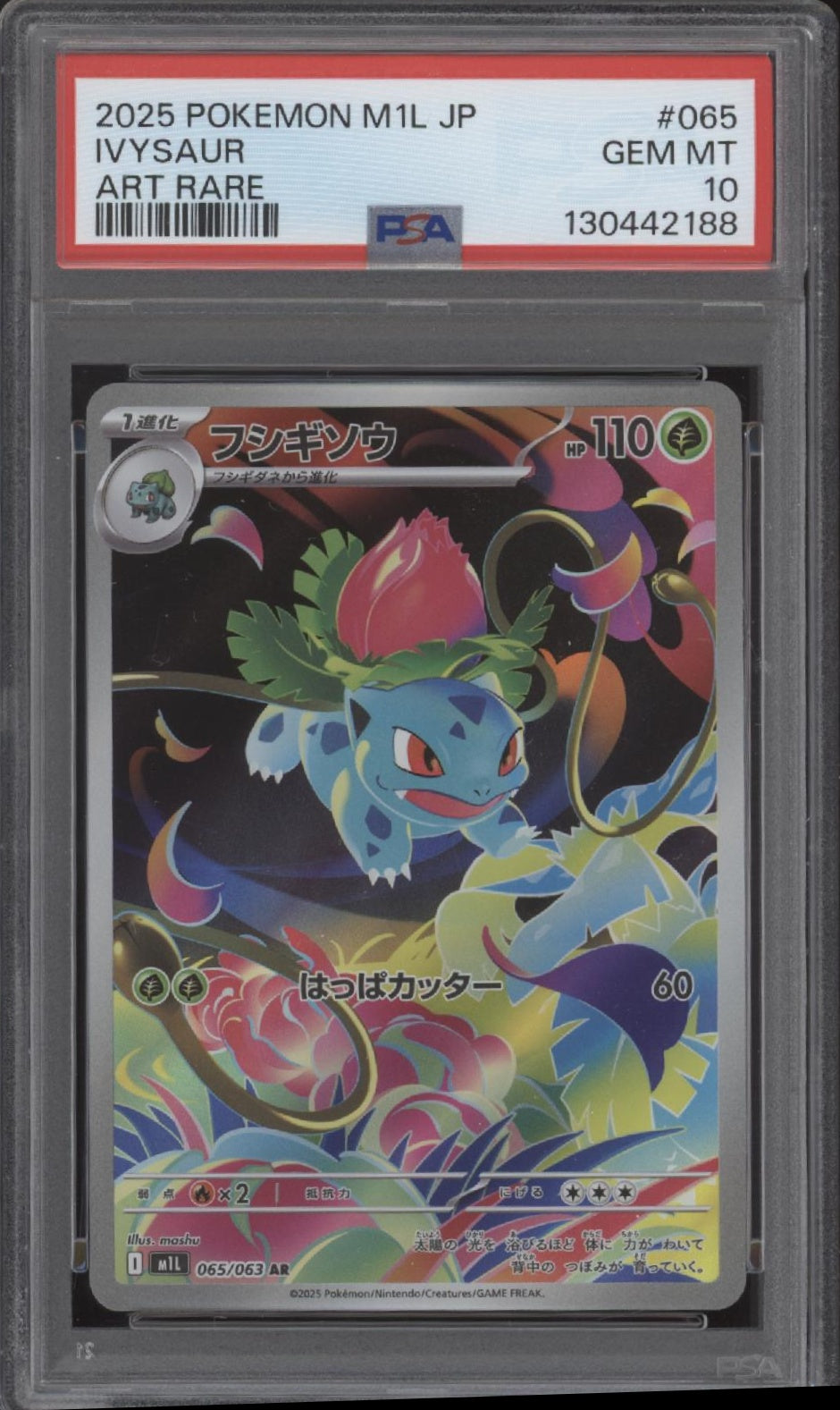 Ivysaur Pokemon Mega Brave Art Rare Japanese #065 PSA 10、Collector Store LLC Gaming、kayou