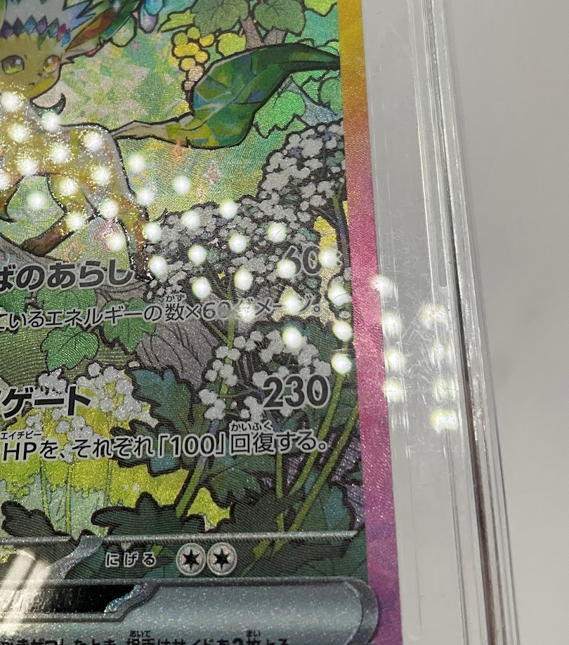 Leafeon ex Pokemon Terastal Fest ex Special Art Rare Japanese #200 TAG 10、Collector Store LLC Gaming、kayou