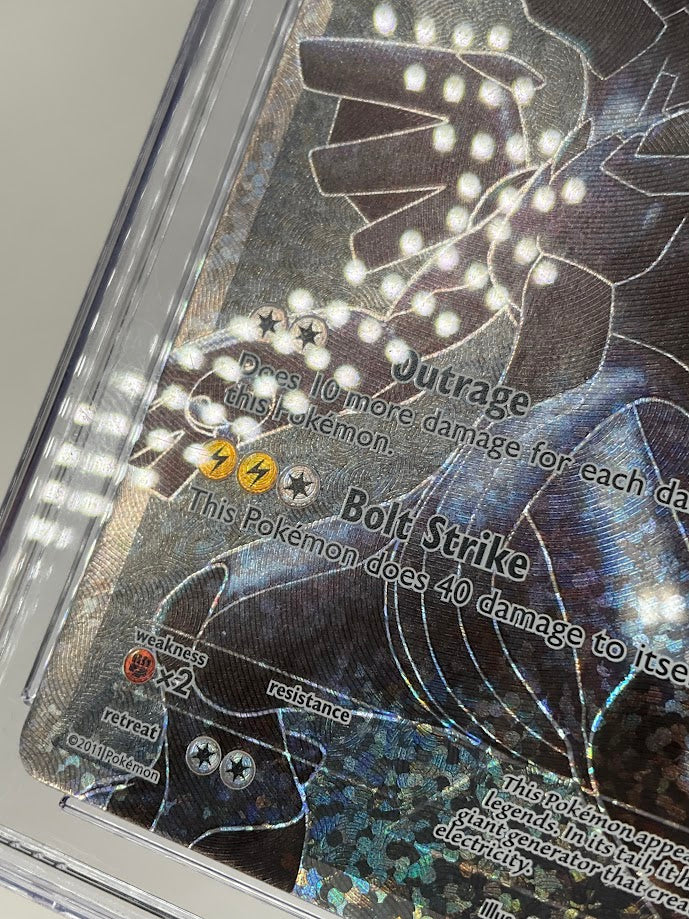 Zekrom Pokemon Celebrations Classic Collection Black & White Holo #114 CGC 10、Collector Store LLC Gaming、kayou