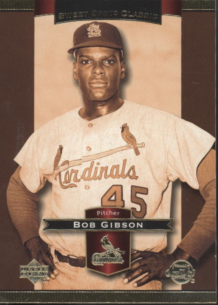 Bob Gibson Baseball Lot of 10、Not specified、kayou