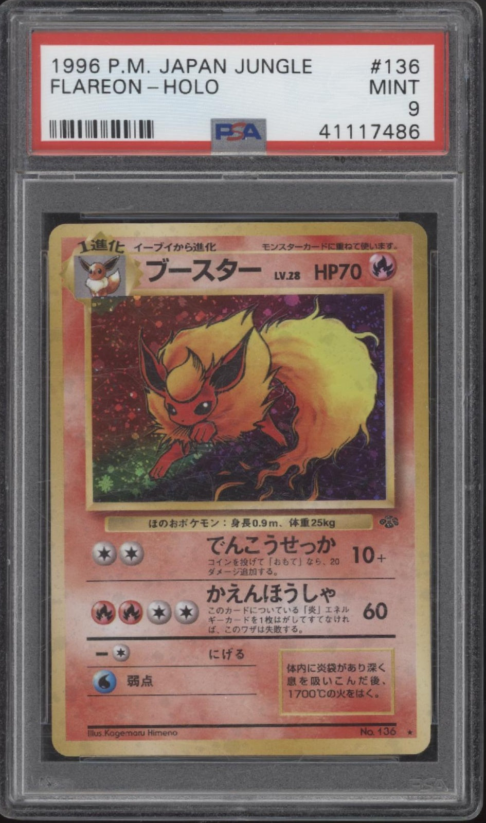 Flareon Pokemon Jungle Holo Japanese #136 PSA 9、Collector Store LLC Gaming、kayou