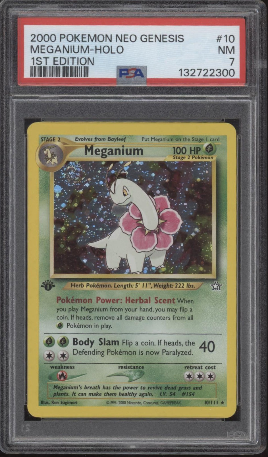 Meganium Pokemon Neo Genesis Holo 1st Edition #10 PSA 7、Collector Store LLC Gaming、kayou