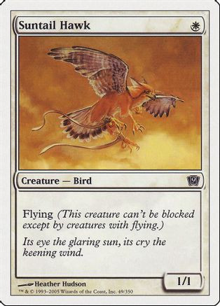 Suntail Hawk (9ED-049) - 9th Edition、Wizards of the Coast、kayou