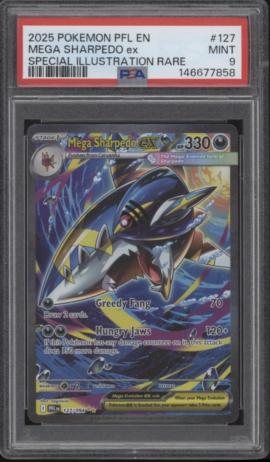Mega Sharpedo ex Pokemon Phantasmal Flames Special Illustration Rare PSA 9 #1、Collector Store LLC Gaming、kayou